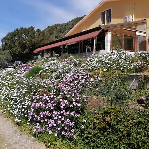 Ristoro Calalunga A 200 M Dalla Cala Sapone